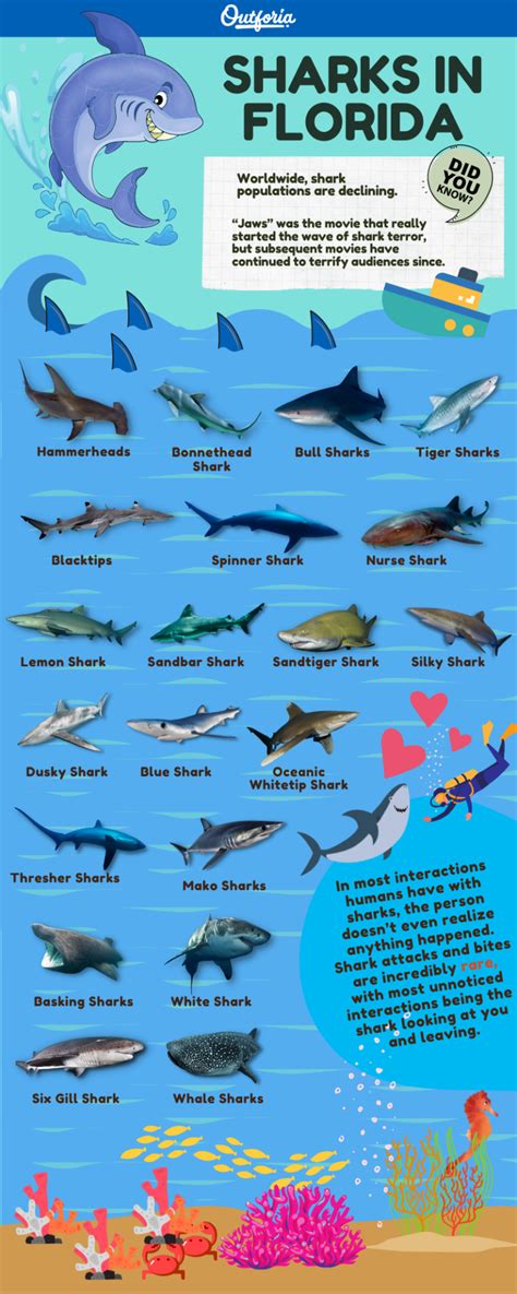 shark radio south florida online.